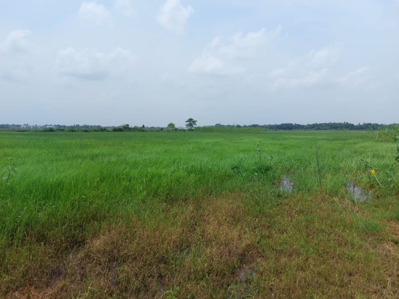  Residential Plot 1600 Sq.ft. for Sale in New Railway Station, Bhubaneswar