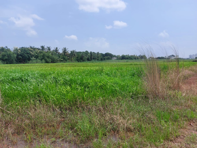  Residential Plot 1600 Sq.ft. for Sale in New Railway Station, Bhubaneswar