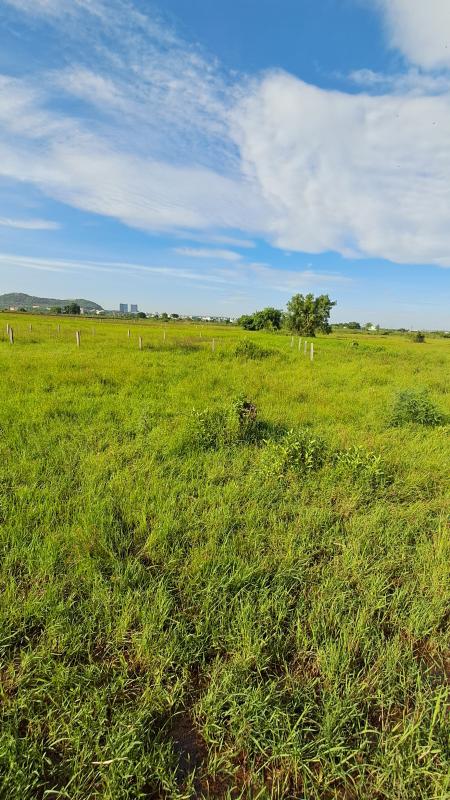  Residential Plot 21000 Sq.ft. for Sale in Patia, Bhubaneswar