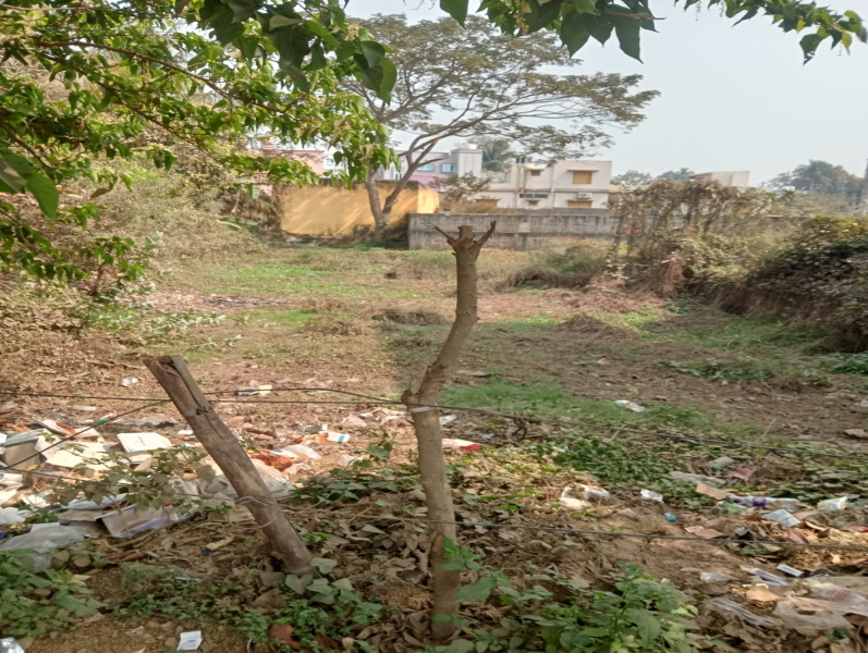  4743 Sq.ft. Residential Plot for Sale in Raghunathpur Jali Mauza, Bhubaneswar
