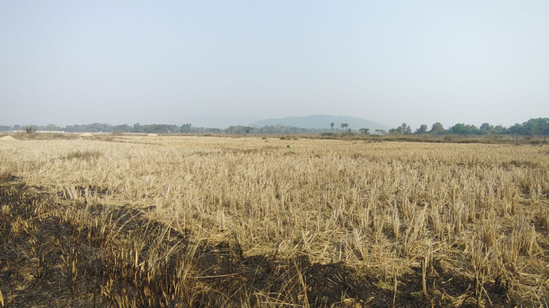  73000 Sq.ft. Commercial Land for Sale in Baruan, Jajpur