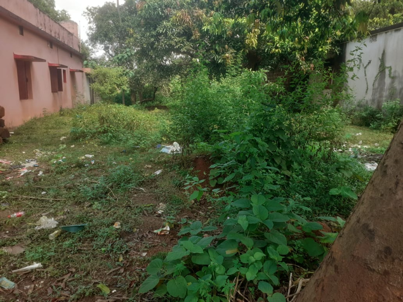  7400 Sq.ft. Residential Plot for Sale in Haladia, Khordha