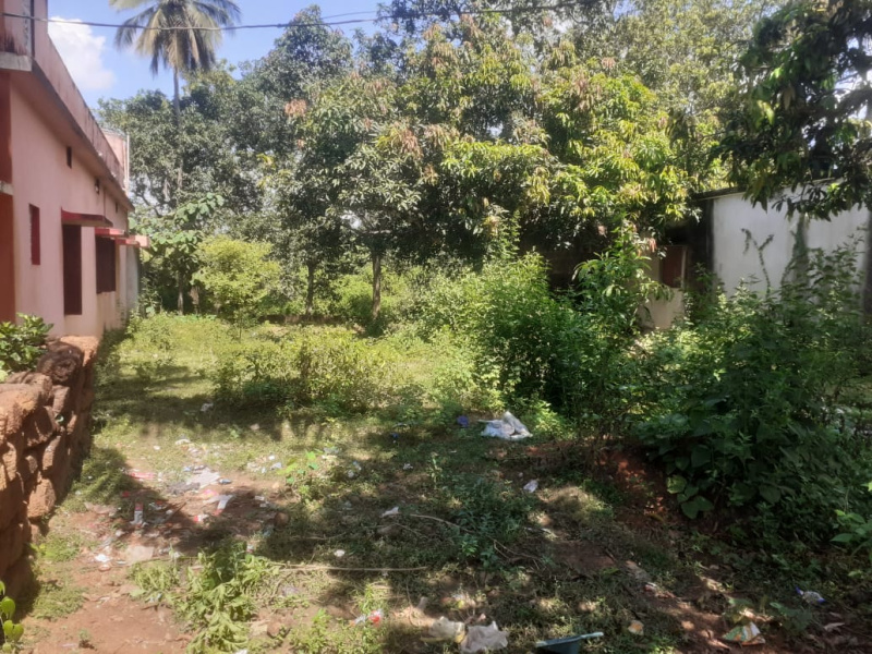  7400 Sq.ft. Residential Plot for Sale in Haladia, Khordha