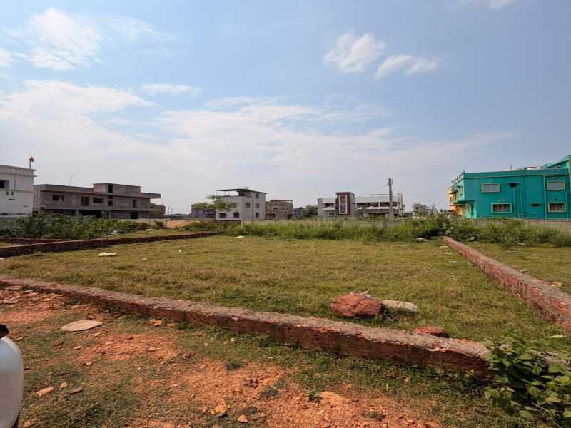 Trisulia, Cuttack photo 2