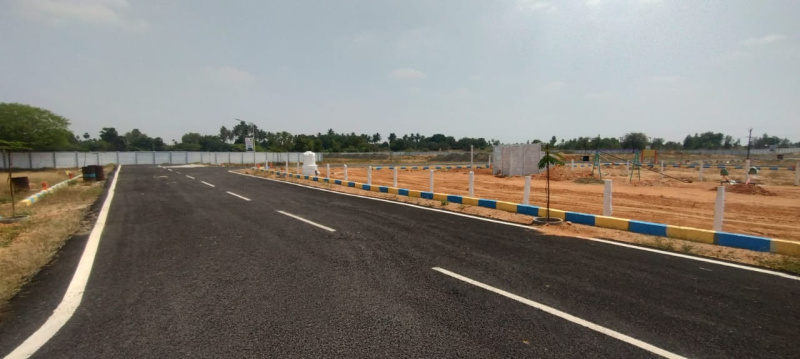  Residential Plot 1500 Sq.ft. for Sale in Panjapur, Tiruchirappalli