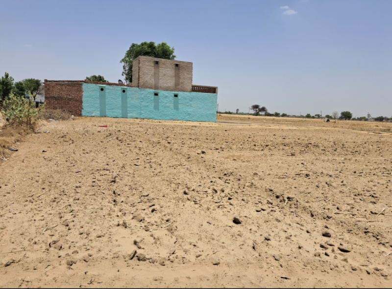  Agricultural Land 1 Acre for Sale in Kosli, Rewari