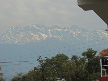 1.0 BHK House for Rent in Rajpur, Palampur