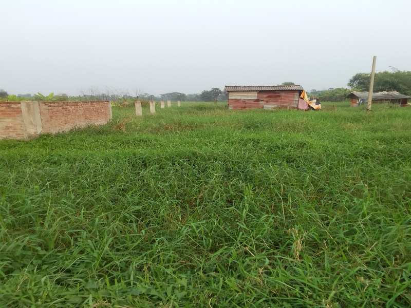 1.5 BHK Farm House 720 Sq.ft. for Sale in Bishnupur, Bankura