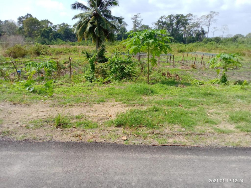  Residential Plot 18150 Sq.ft. for Sale in Havelock Island, Andaman