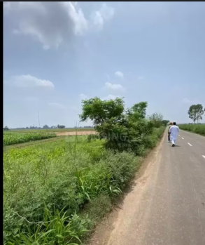  Agricultural Land for Sale in Khekada, Baghpat