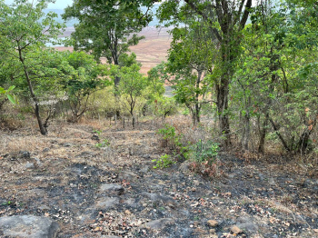  Agricultural Land for Sale in Mulshi, Pune