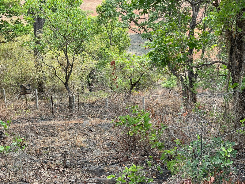  Agricultural Land 30 Guntha for Sale in Mulshi, Pune