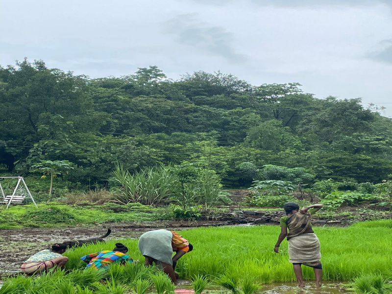  Agricultural Land 62 Guntha for Sale in Vile Bhagad MIDC, Raigad