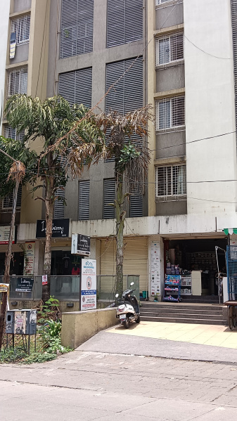2 BHK Apartment 1250 Sq.ft. for Rent in Bhusari Colony, Kothrud, Pune
