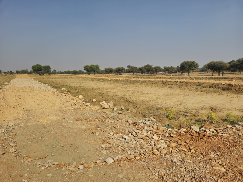  Residential Plot 100 Sq. Yards for Sale in Khatu, Sikar