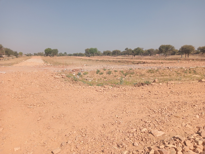  Residential Plot 100 Sq. Yards for Sale in Khatu, Sikar