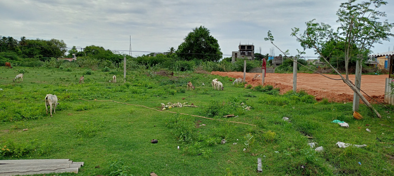  Residential Plot 1800 Sq.ft. for Sale in Villianur, Pondicherry