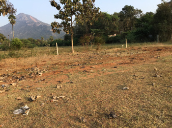  Residential Plot for Sale in Adi Annamalai, Tiruvannamalai