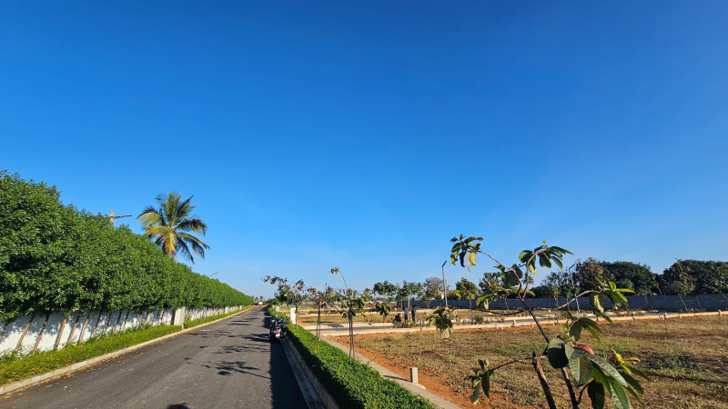  Residential Plot 1200 Sq.ft. for Sale in Devanahalli, Bangalore