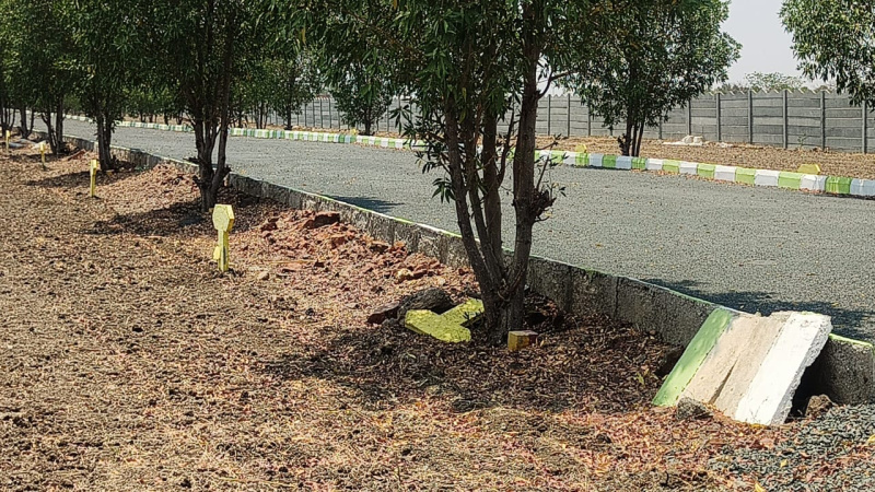  1200 Sq.ft. Residential Plot for Sale in Orvakal, Kurnool