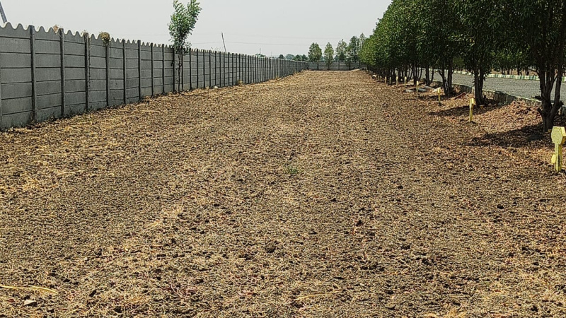  1200 Sq.ft. Residential Plot for Sale in Orvakal, Kurnool