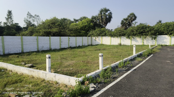  Residential Plot for Sale in 400ft Venkateshwara College and hospital, Chennai, Chennai