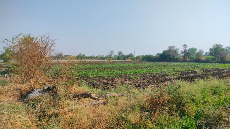  Agricultural Land 3 Acre for Sale in Tandur, Vikarabad