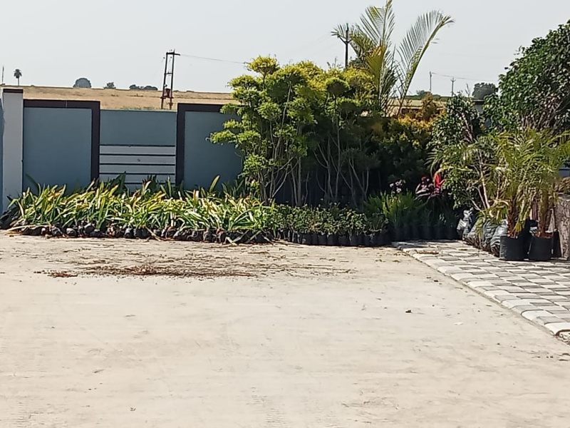  Residential Plot 600 Sq.ft. for Sale in Ujjain Road, Indore