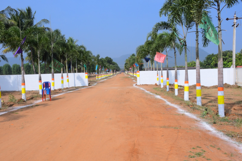  Residential Plot 167 Sq. Yards for Sale in Nuzvid, Krishna