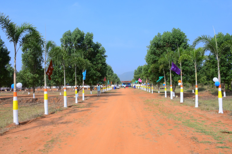  Residential Plot 167 Sq. Yards for Sale in Nuzvid, Krishna