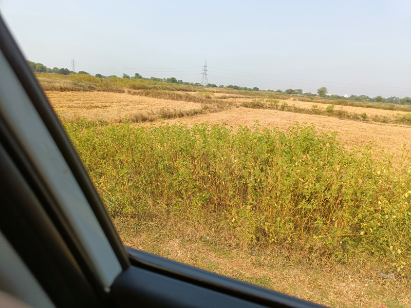  Agricultural Land 1 Acre for Sale in Kharora, Raipur