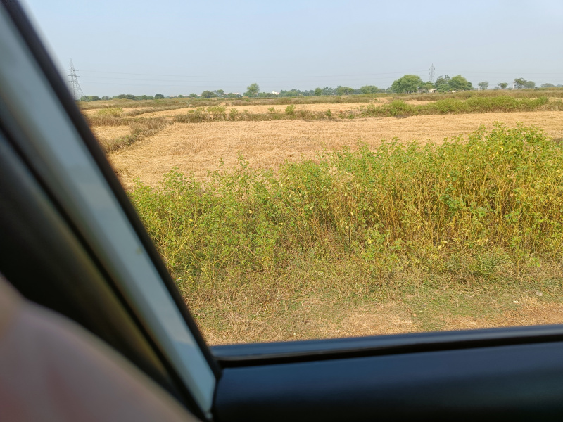  Agricultural Land 1 Acre for Sale in Kharora, Raipur