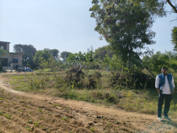  Agricultural Land for Sale in Shahpura, Jaipur