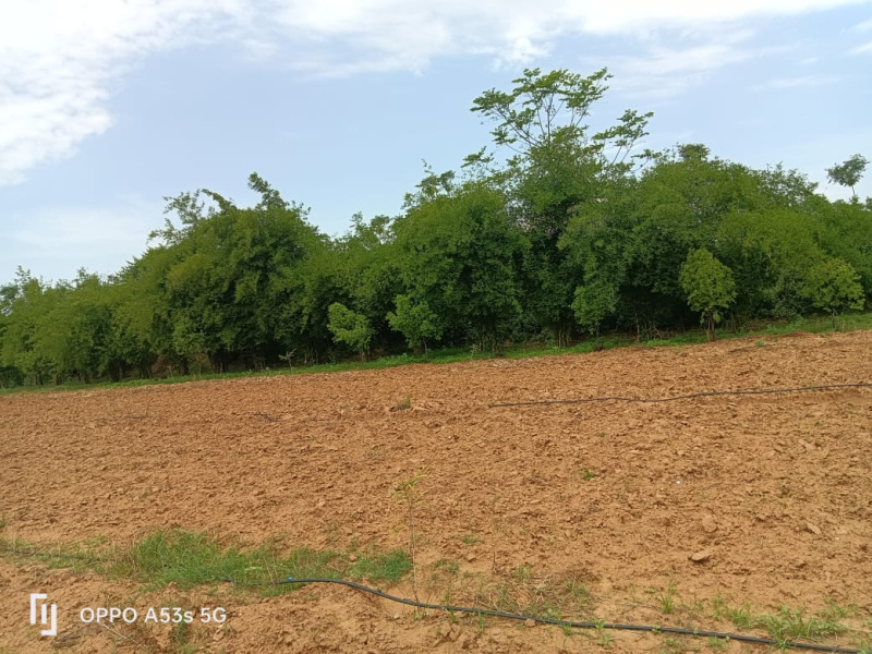 Jaipur Road, Dausa photo 3