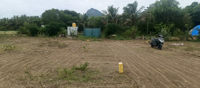  Residential Plot 1717 Sq.ft. for Sale in Adi Annamalai, Tiruvannamalai