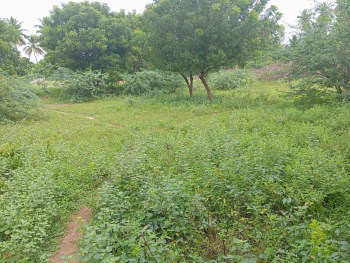  Residential Plot for Sale in Mohanur, Namakkal