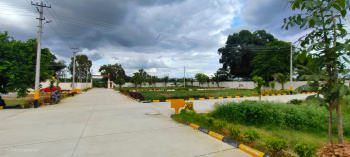  Residential Plot for Sale in Anekal, Bangalore