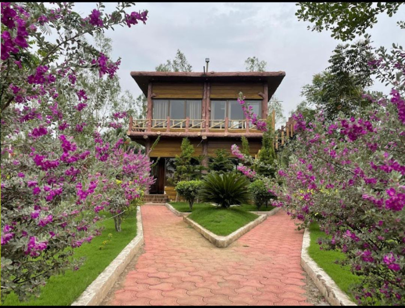  Residential Plot 1000 Sq.ft. for Sale in Nardaha, Raipur