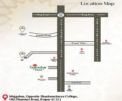  1000 Sq.ft. Residential Plot for Sale in Old Dhamtari Road, Raipur