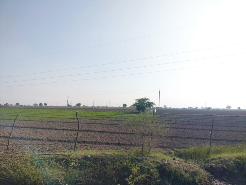  160 Bigha Agricultural/Farm Land for Sale in Indragarh, Bundi