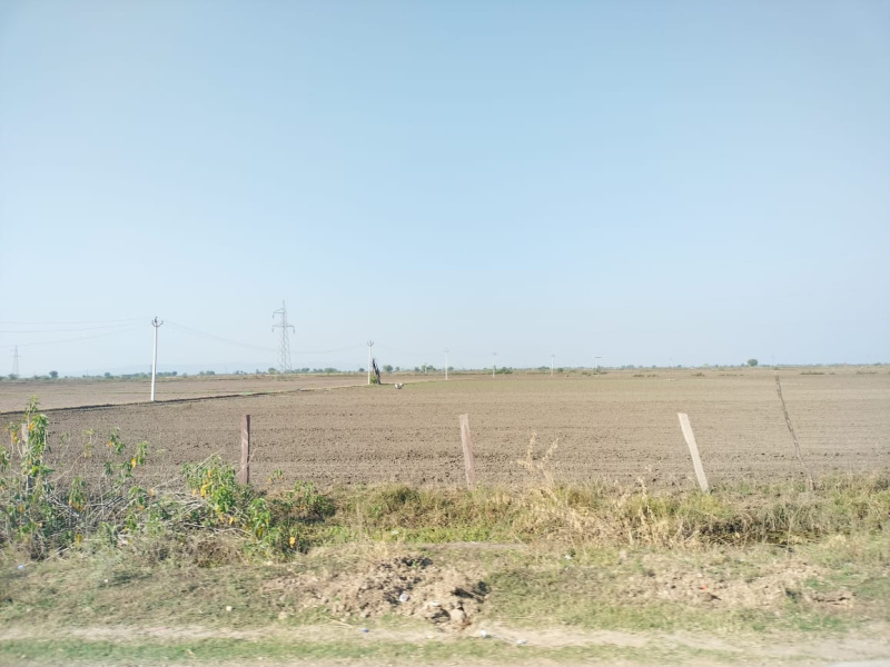  174 Bigha Agricultural/Farm Land for Sale in Indergarh, Bundi