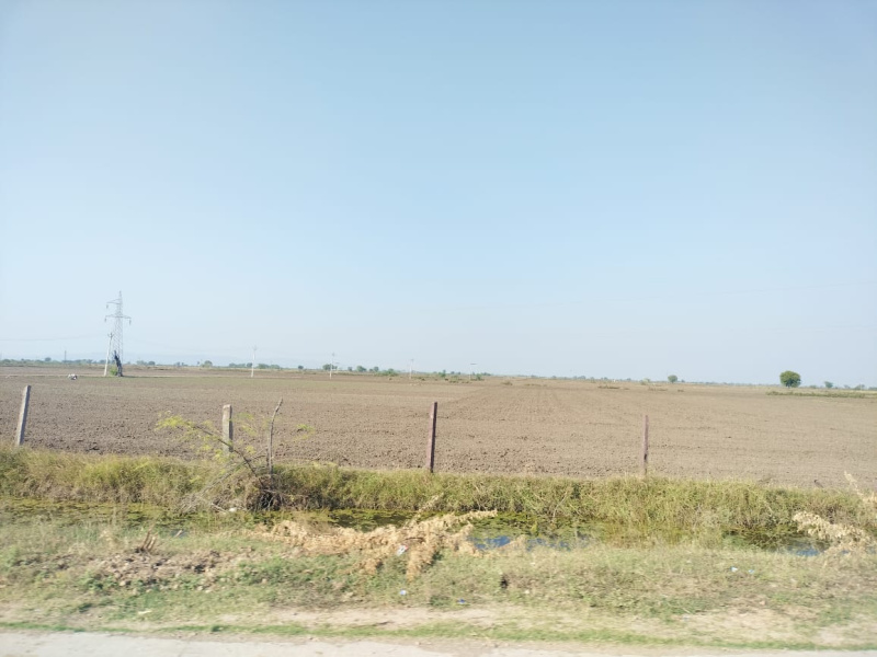  174 Bigha Agricultural/Farm Land for Sale in Indergarh, Bundi