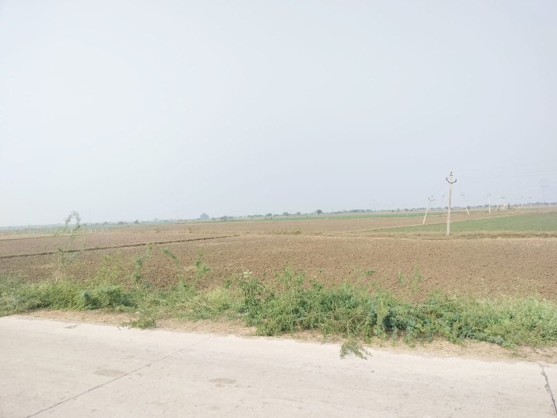  19 Bigha Agricultural/Farm Land for Sale in Bundi Road, Kota