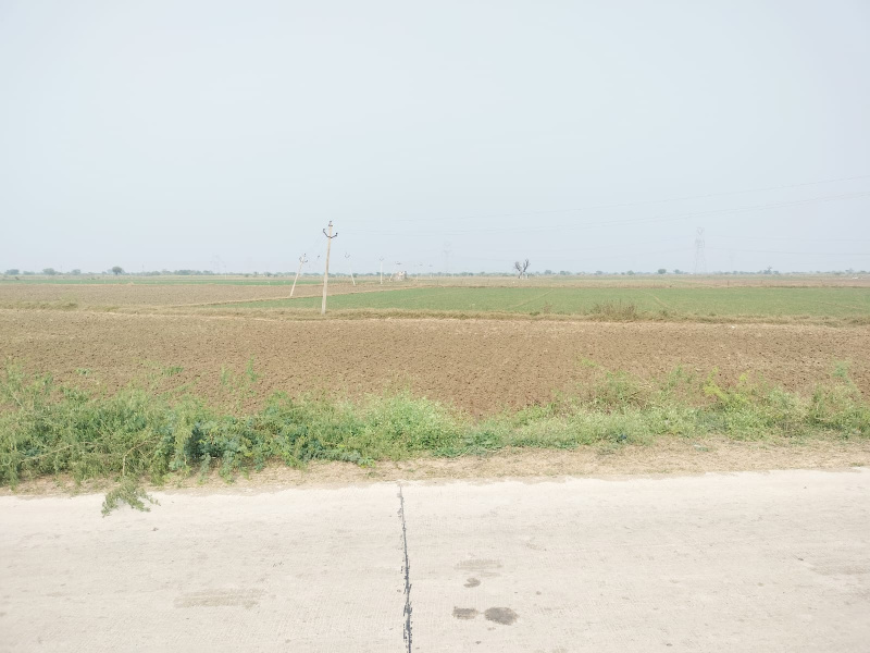  16 Bigha Agricultural/Farm Land for Sale in Bundi Road, Kota