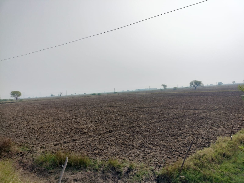  3 Bigha Commercial Land for Sale in Badakhera, Bundi