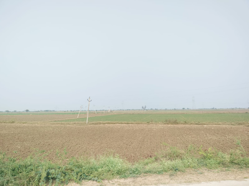  3 Bigha Commercial Land for Sale in Badakhera, Bundi