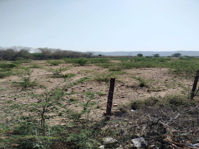  3 Bigha Agricultural/Farm Land for Sale in Tappal, Aligarh