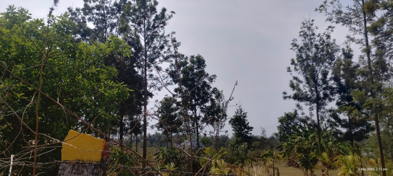  Agricultural Land 2 Acre for Sale in T.Begur, Nelamangala, Bangalore