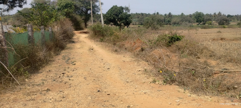  Agricultural Land 73 Guntha for Sale in T.Begur, Nelamangala, Bangalore