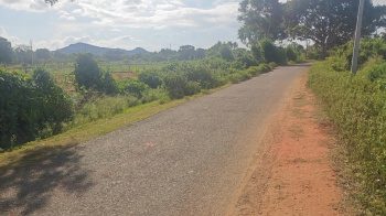  Agricultural Land for Sale in Kanakapura Road, Bangalore